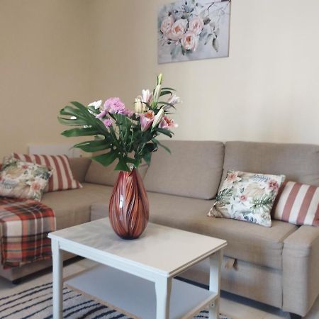 Spacious Apartment La Mata Pool&Beach Torrevieja Exteriör bild