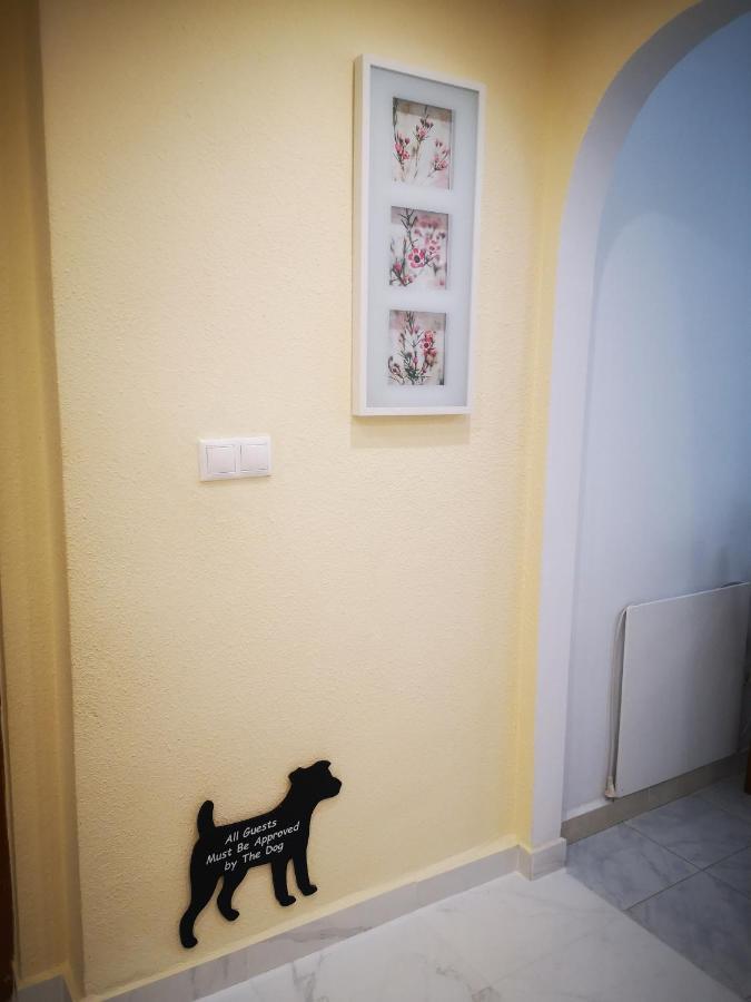 Spacious Apartment La Mata Pool&Beach Torrevieja Exteriör bild