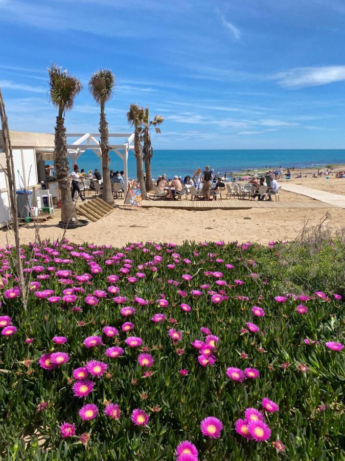 Spacious Apartment La Mata Pool&Beach Torrevieja Exteriör bild